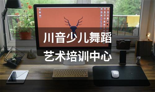 川音少儿舞蹈艺术培训中心