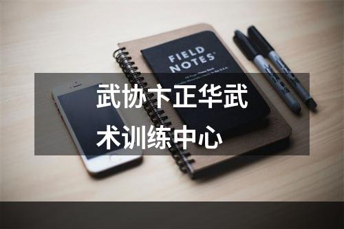 武协卞正华武术训练中心