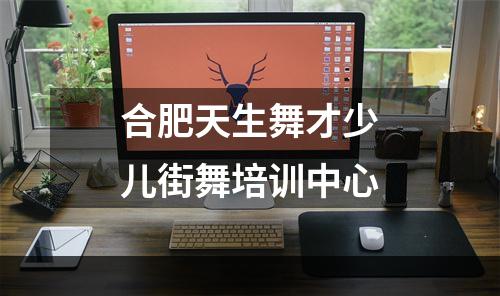 合肥天生舞才少儿街舞培训中心