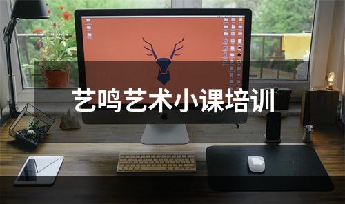 艺鸣艺术小课培训