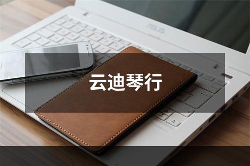 云迪琴行