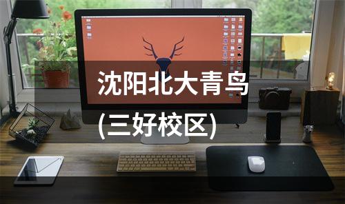 沈阳北大青鸟(三好校区)