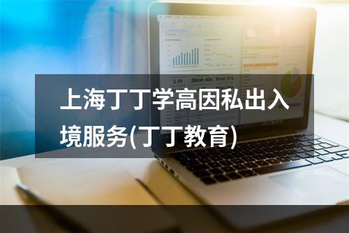 上海丁丁学高因私出入境服务(丁丁教育)
