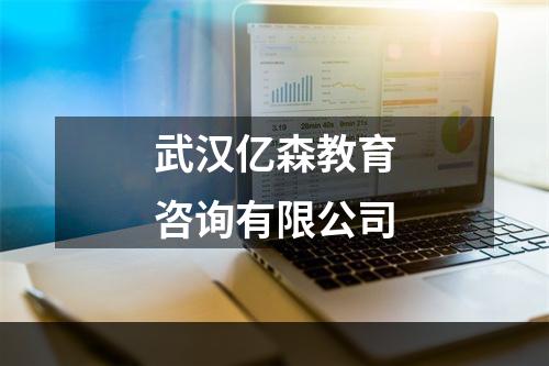 武汉亿森教育咨询有限公司