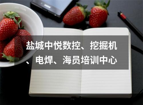 盐城中悦数控、挖掘机、电焊、海员培训中心