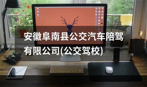 安徽阜南县公交汽车陪驾有限公司(公交驾校)
