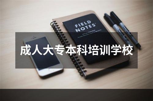 成人大专本科培训学校