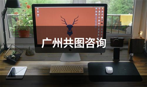 广州共图咨询