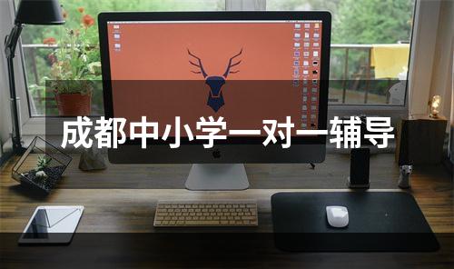 成都中小学一对一辅导