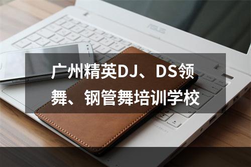 广州精英DJ、DS领舞、钢管舞培训学校