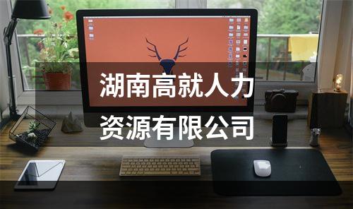 湖南高就人力资源有限公司