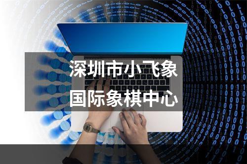 深圳市小飞象国际象棋中心