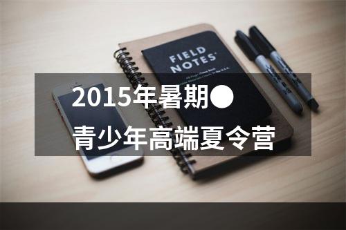 2015年暑期●青少年高端夏令营