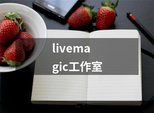 livemagic工作室
