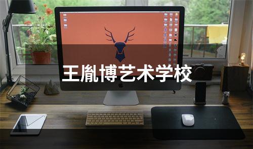 王胤博艺术学校