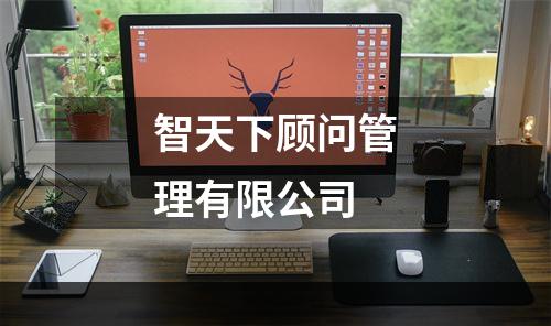 智天下顾问管理有限公司