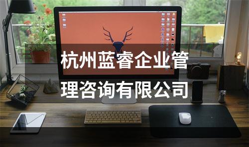 杭州蓝睿企业管理咨询有限公司