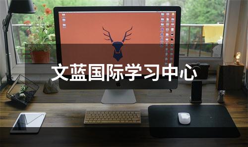 文蓝国际学习中心