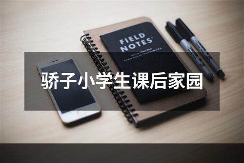 骄子小学生课后家园