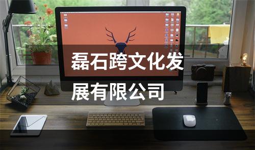 磊石跨文化发展有限公司