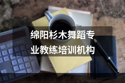 绵阳杉木舞蹈专业教练培训机构