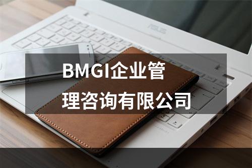BMGI企业管理咨询有限公司