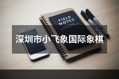 深圳市小飞象国际象棋