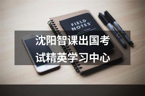 沈阳智课出国考试精英学习中心