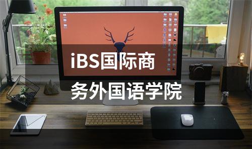 iBS国际商务外国语学院
