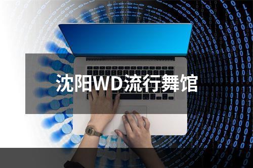 沈阳WD流行舞馆