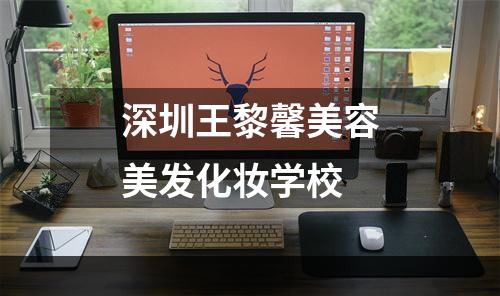 深圳王黎馨美容美发化妆学校