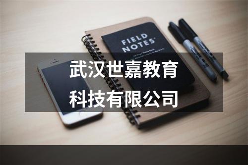 武汉世嘉教育科技有限公司