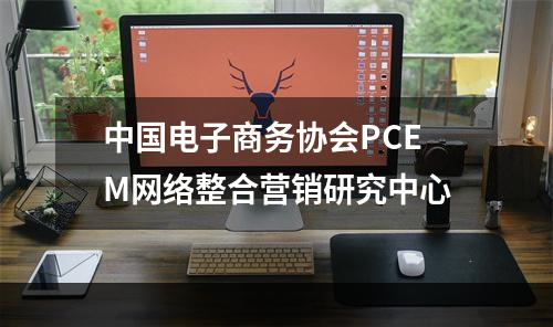 中国电子商务协会PCEM网络整合营销研究中心