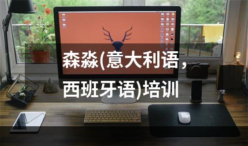 森淼(意大利语，西班牙语)培训