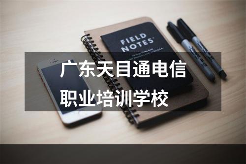 广东天目通电信职业培训学校