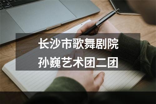 长沙市歌舞剧院孙巍艺术团二团