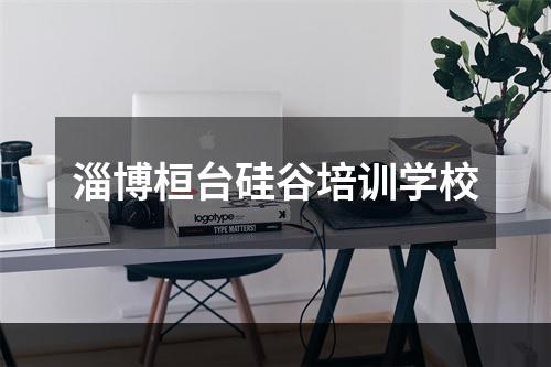 淄博桓台硅谷培训学校