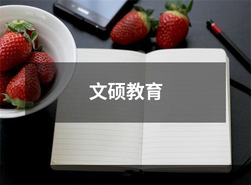 文硕教育