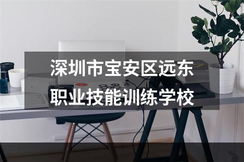 深圳市宝安区远东职业技能训练学校