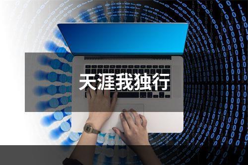 天涯我独行