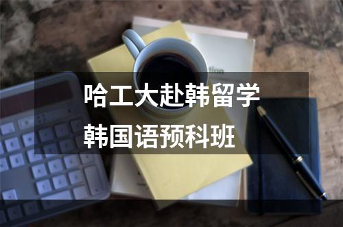哈工大赴韩留学韩国语预科班