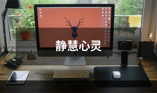 静慧心灵