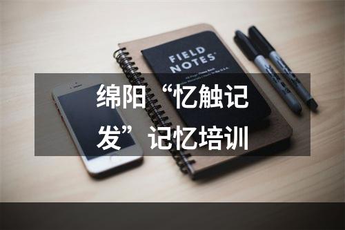 绵阳“忆触记发”记忆培训