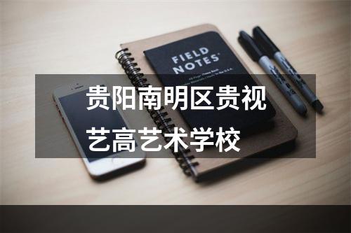 贵阳南明区贵视艺高艺术学校