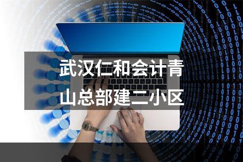 武汉仁和会计青山总部建二小区