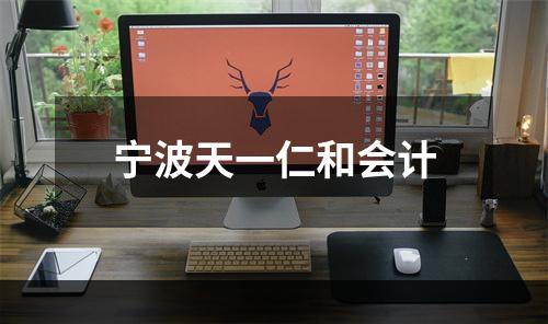 宁波天一仁和会计