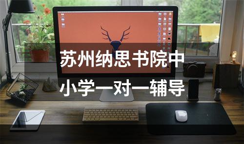 苏州纳思书院中小学一对一辅导