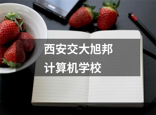 西安交大旭邦计算机学校