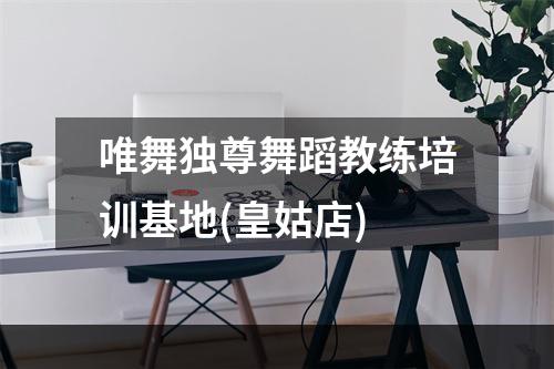 唯舞独尊舞蹈教练培训基地(皇姑店)