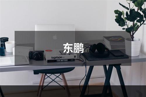 东鹏